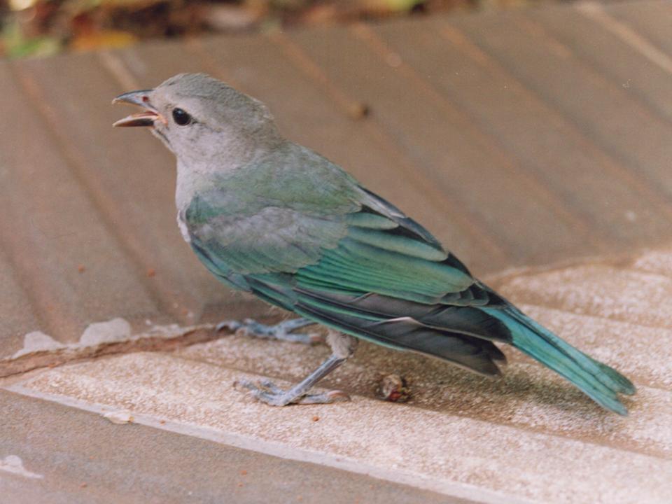 FIGURE 7 FIGURE 7